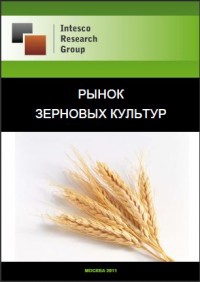 Рынок зерновых культур. Текущая ситуация и прогноз